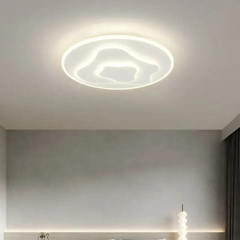Modern Minimalist Iron Art Acrylic Ceiling Lamp